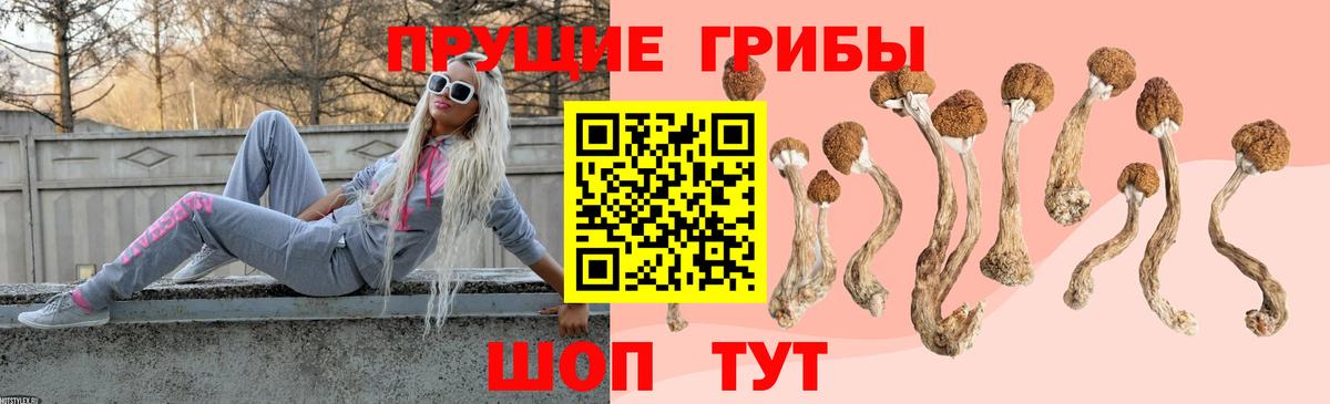 Псилоцибиновые грибы мицелий Ростов-на-Дону